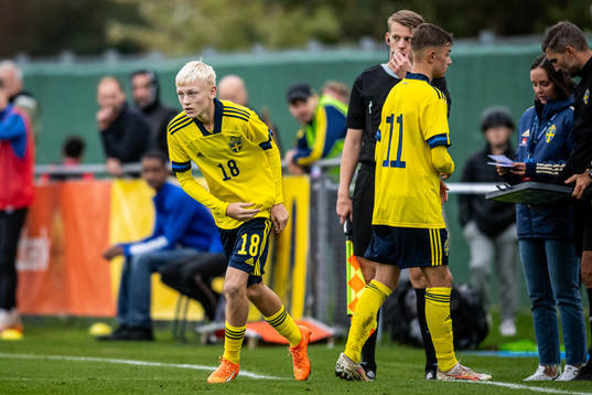 Sveriges Viggo Karlsson