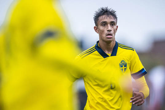 Sveriges Ossian Nordvall