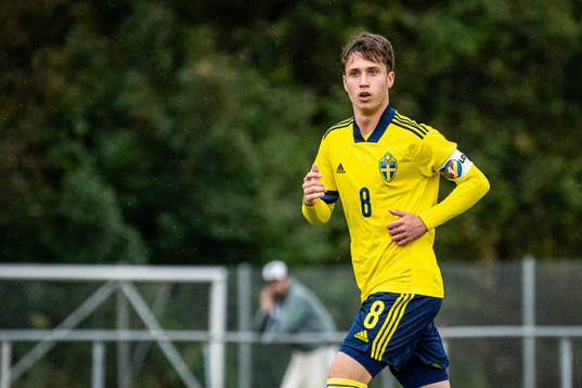 Sveriges Kenan Busuladzic