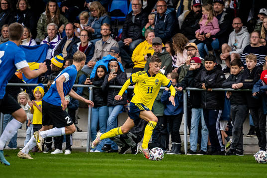 Sveriges Fred Bozicevic