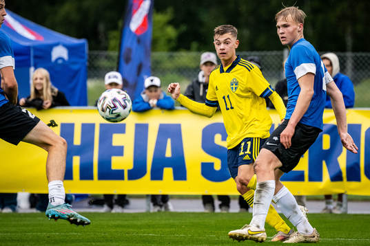Sveriges Fred Bozicevic