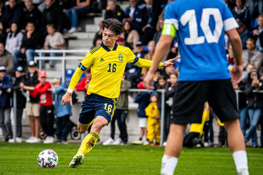 Sveriges Gjan Ajdin