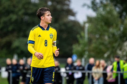 Sveriges Kenan Busuladzic