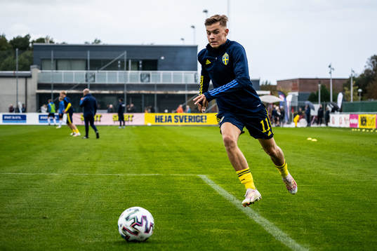 Sveriges Fred Bozicevic