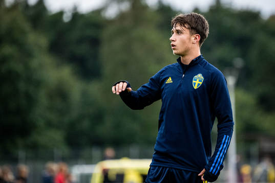 Sveriges Kenan Busuladzic