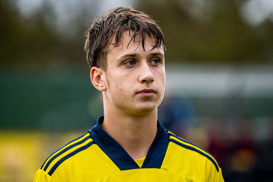 Sveriges Kenan Busuladzic