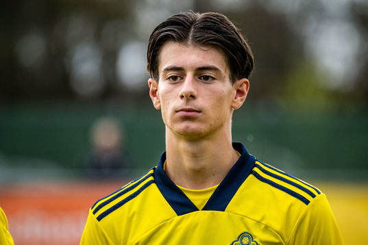 Sveriges Gjan Ajdin
