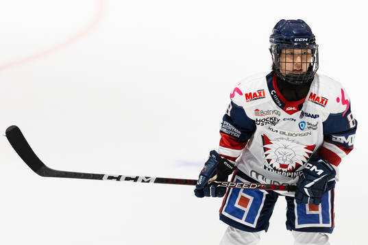 Linköpings Tako Hitosato