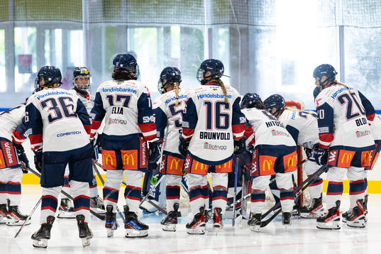 Linköpings spelare samlade innan träningsmatchen i