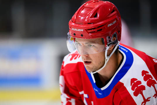 Timrås Filip Hållander