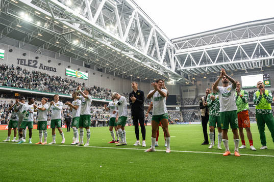 Hammarbys spelar jublar