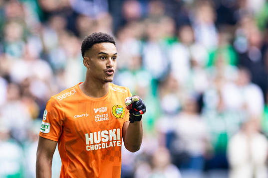 Hammarbys målvakt Oliver Dovin
