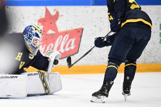 HV71s målvakt Noah Erliden