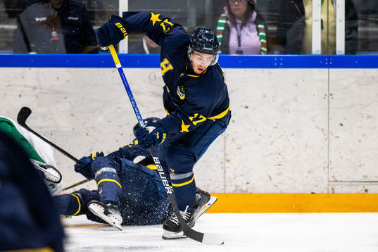 HV71s Isac Brännström