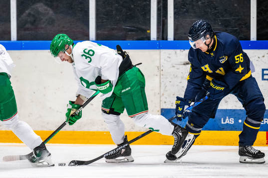Rögles Vallteri Viljanen och HV71s Fredrik Forsberg