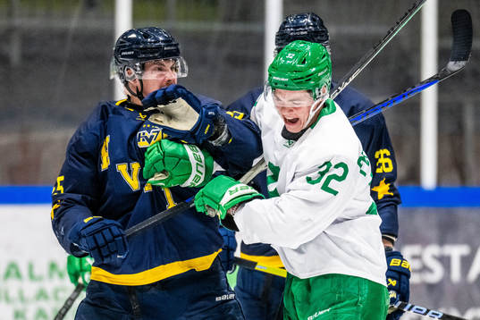 HV71s Mikael Seppälä och Rögles Oskar Pettersson
