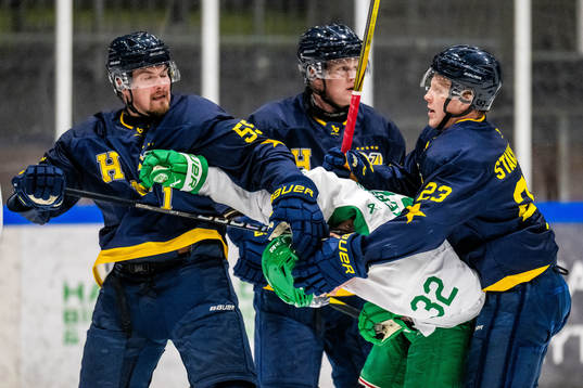 HV71s Mikael Seppälä och Åke Stakkestad mot Rögles