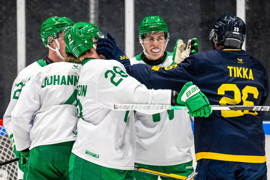 Rögles Anton Bengtsson och HV71s Tommi Tikka