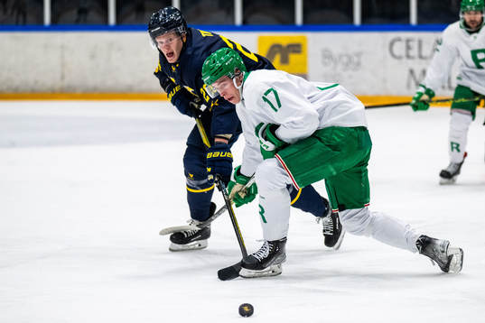 HV71s +hv25+och Rögles Simon Zether
