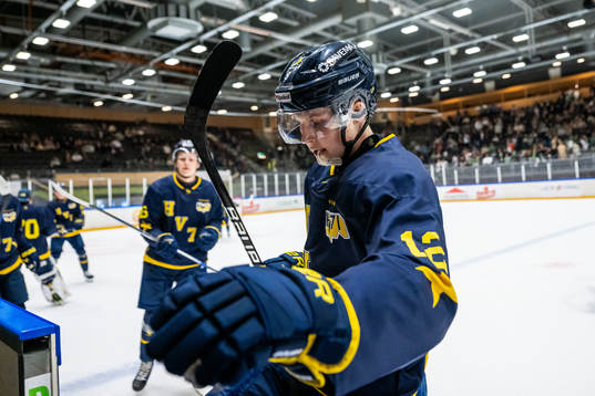 HV71s Hugo Pettersson