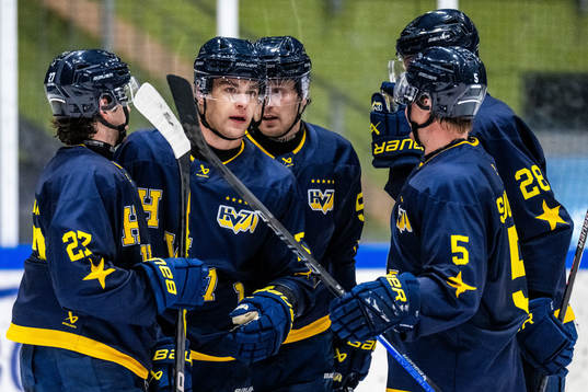 HV71s Radan Lenc jublar med lagkamrater