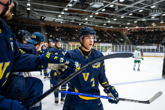 HV71s Radan Lenc jublar