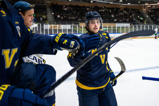 HV71s Bobby Nardella jublar