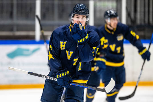 HV71s Hugo Fransson jublar