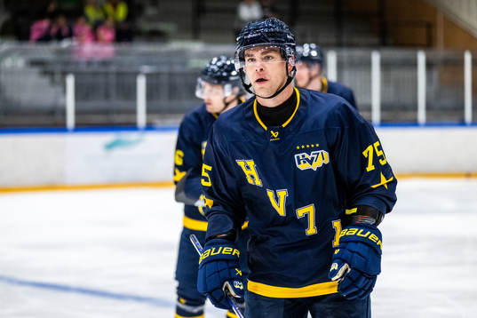 HV71s Radan Lenc deppar