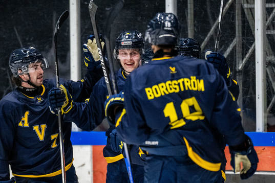 HV71s Hugo Pettersson jublar med lagkamrater