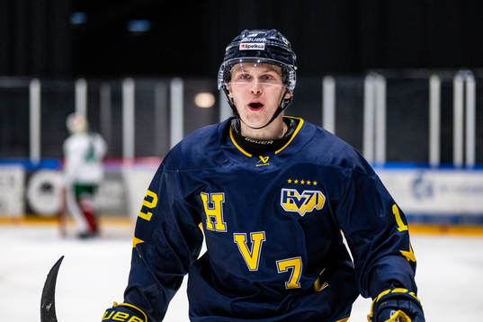 HV71s Hugo Pettersson jublar