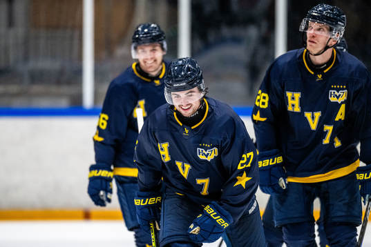 HV71s Bobby Nardella jublar