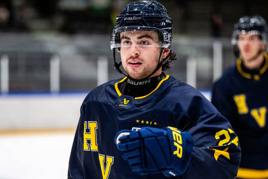 HV71s Bobby Nardella jublar