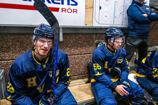 HV71s Joonas Nättinen, Fredrik Forsberg och Radan Lenc