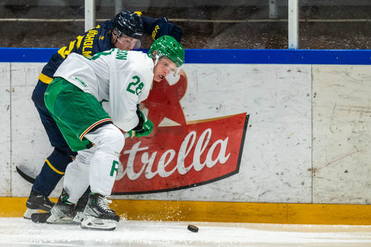HV71s Victor Sjöholm och Rögles Anton Bengtsson