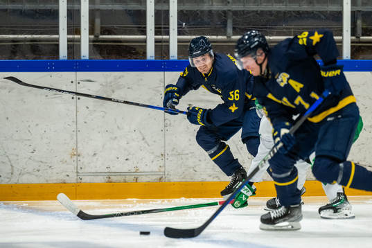 HV71s Fredrik Forsberg