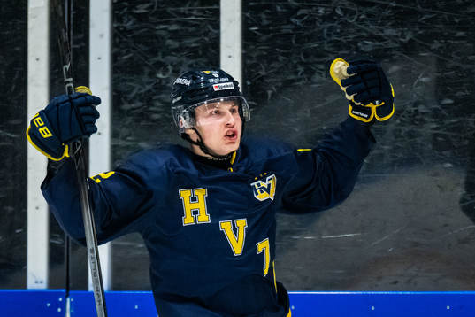 HV71s Hugo Pettersson jublar