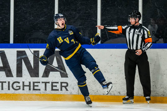 HV71s Hugo Pettersson jublar