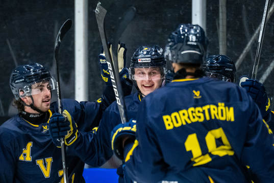 HV71s Hugo Pettersson jublar