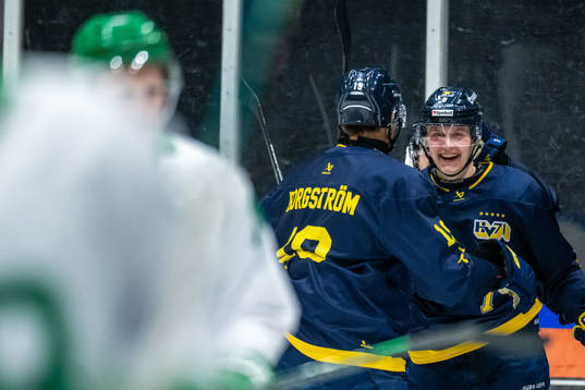 HV71s Hugo Pettersson jublar