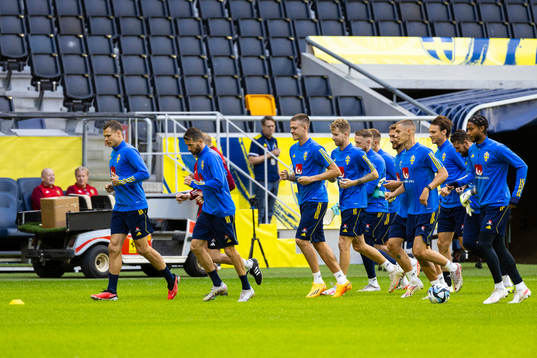 Players of Sweden