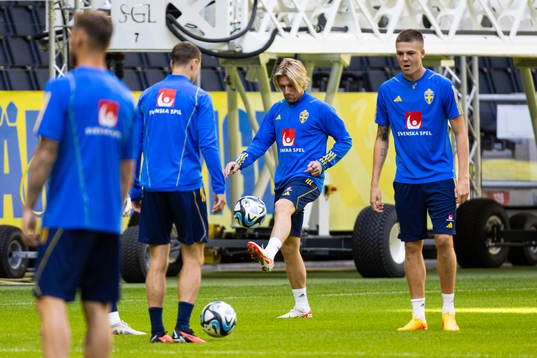 Emil Forsberg and Emil Holm of Sweden