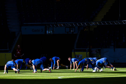 Players of Sweden