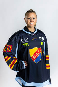 Djurgårdens Brette Pettet