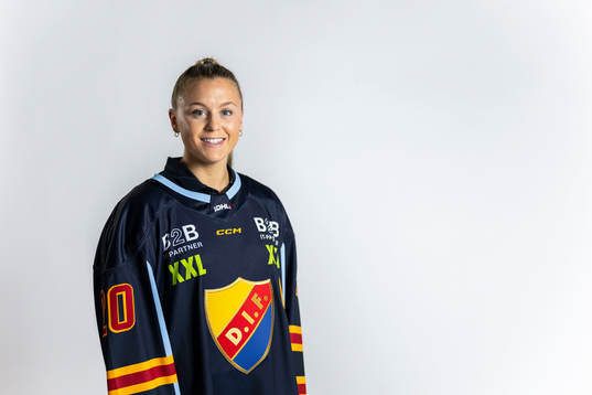 Djurgårdens Brette Pettet