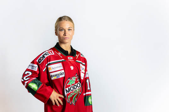 s och SDHL:s upptaktsträff
