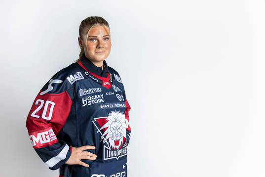 s och SDHL:s upptaktsträff
