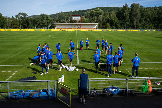 Players and coaches of the Swedish under-21 national