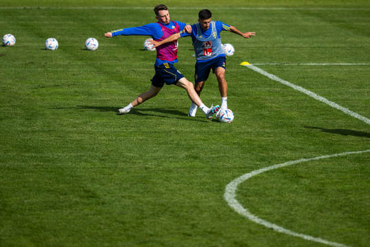 Noah Persson and Roony Bardghji of the Swedish under-21