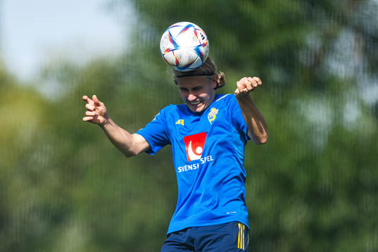 Sebastian Nanasi of the Swedish under-21 national football